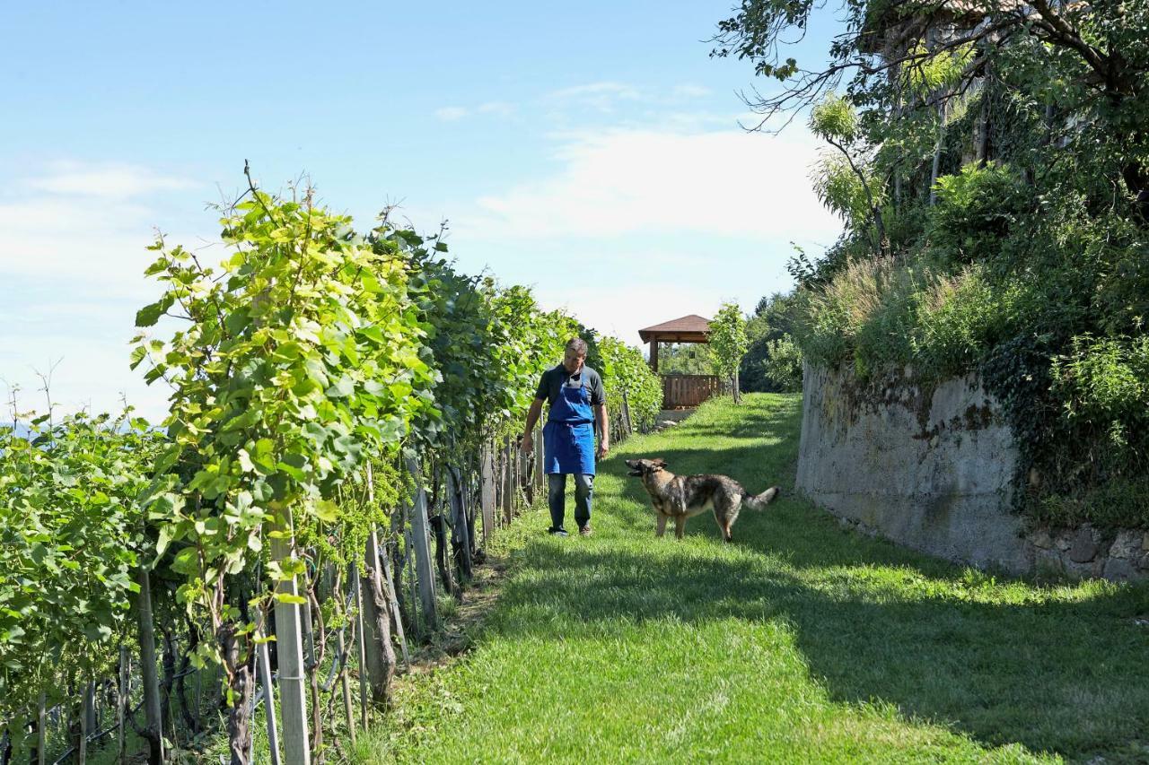 Engadiner Apartments & Wines Montagna Exteriör bild